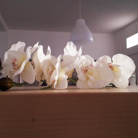 Sadinahome Сетубал Екстериор снимка